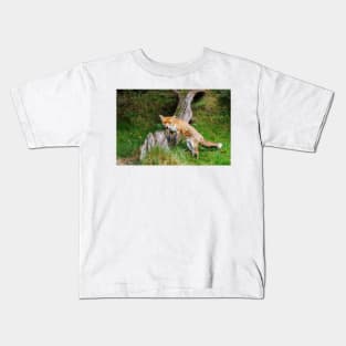 Fox (Vulpes vulpes), a British native mammal Kids T-Shirt